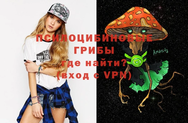 мдпв Козловка
